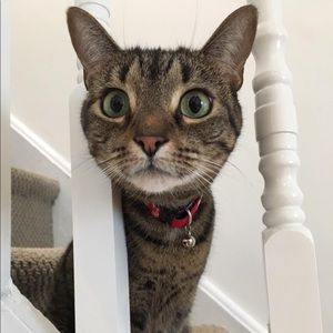 Meet your Posher, Renee